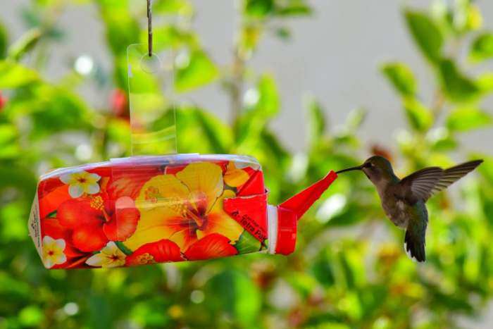 EZ Nectar Ready-To-Use Disposable Hummingbird Feeder